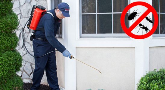 Pülümür Dezenfeksiyon böcek ilaçlama ve haşere kontrolü — ilaclama-tr.com